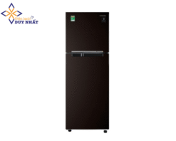 Tủ lạnh Samsung Inverter 236 lít RT22M4032BY/SV
