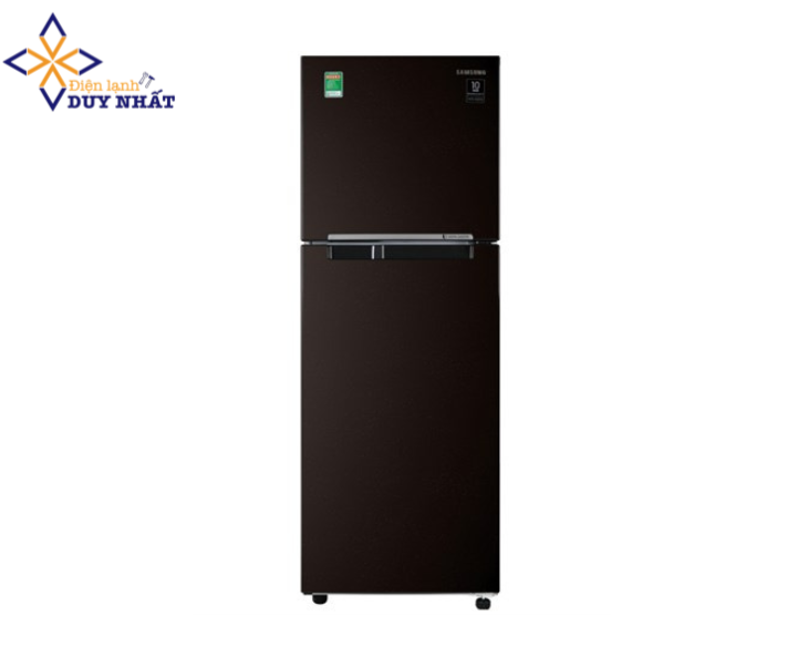 Tủ lạnh Samsung Inverter 236 lít RT22M4032BY/SV