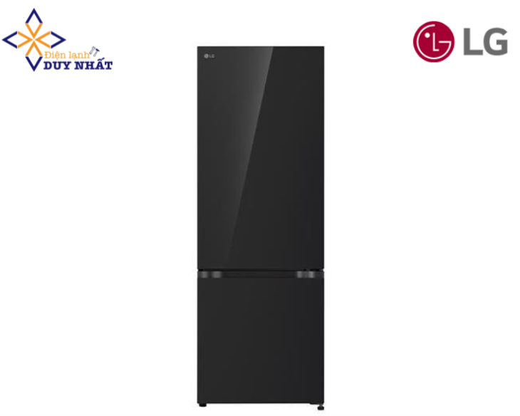 Tủ lạnh LG Inverter 335 lít LBB33BLGA