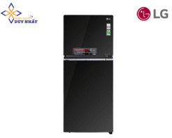 Tủ lạnh LG Inverter 393 lít GN-L422GB