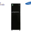 Tủ lạnh Samsung Inverter 256 lít RT25M4032BU/SV