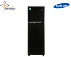 Tủ lạnh Samsung Inverter 256 lít RT25M4032BU/SV