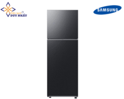 Tủ lạnh Samsung Inverter 305 lít RT31CG5424B1SV