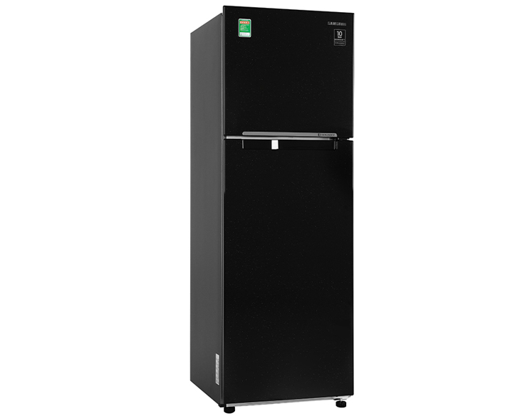 Tủ lạnh Samsung Inverter 256 lít RT25M4032BU/SV - Ảnh 2