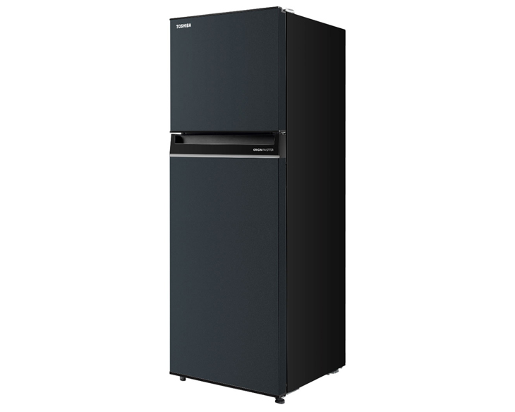 Tủ lạnh Toshiba Inverter 233 lít GR-RT303WE-PMV(52) - Ảnh 2