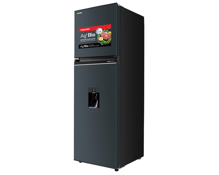 Tủ lạnh Toshiba Inverter 249 lít GR-RT325WE-PMV(06)-MG - Ảnh 3