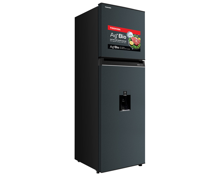 Tủ lạnh Toshiba Inverter 249 lít GR-RT325WE-PMV(06)-MG - Ảnh 2