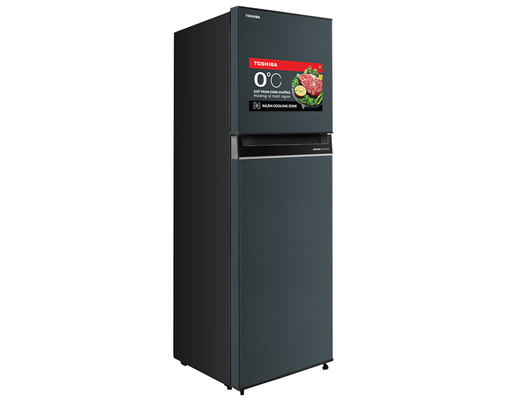Tủ lạnh Toshiba Inverter 253 lít GR-RT329WE-PMV(52) - Ảnh 2