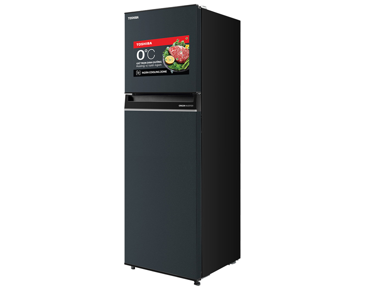 Tủ lạnh Toshiba Inverter 253 lít GR-RT329WE-PMV(52) - Ảnh 3