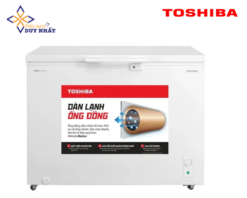 Tủ đông Toshiba Inverter 293 lít GR-RC390CM-PMV(01)